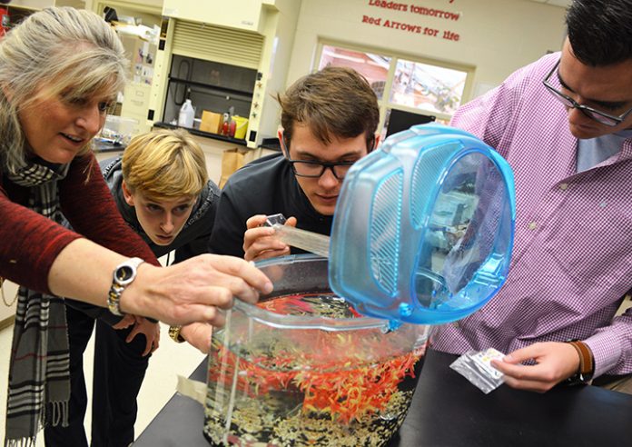LOW_rats_memory_1 Lowell HIgh science teacher Heather DeJonge checks out one group’s tank of daphnia, commonly known as water fleas. Next to DeJonge, from left, are Brenan Conlan, Jacob Nugent and Holt Sawyer