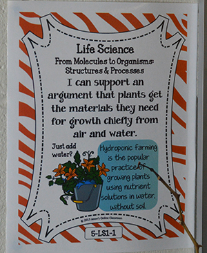 The Tower Garden provides a hands-on way to learn fifth-grade science standards