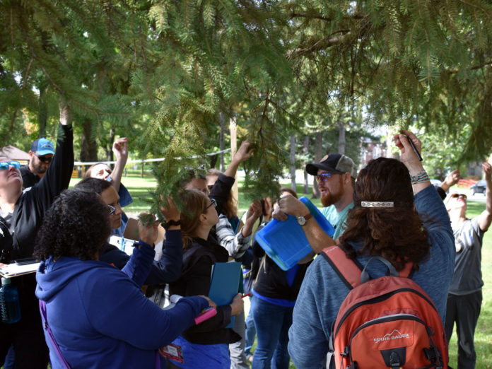 MULTI-Groundswell-outdoors-education-5